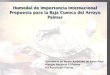 Humedal de Importancia Internacional Propuesta para la Baja Cuenca del Arroyo Palmar Secretaría de Medio Ambiente de Entre Ríos Parque Nacional El Palmar