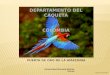 DEPARTAMENTO DEL CAQUETA Ubicación: Se localiza al suroriente, Colombiano Limita con los departamentos de META –GUAVIARE – VAUPÉS – HUILA – CAUCA – PUTUMAYO