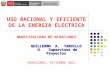 USO RACIONAL Y EFICIENTE DE LA ENERGIA ELECTRICA GUILLERMO A. TARDILLO H. Supervisor de Proyectos MUNICIPALIDAD DE MIRAFLORES MIRAFLORES, SETIEMBRE 2011