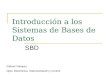 Introducción a los Sistemas de Bases de Datos SBD Gabriel Vásquez Dpto. Electrónica, Instrumentación y Control