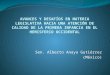 AVANCES Y DESAFÍOS EN MATERIA LEGISLATIVA HACIA UNA ATENCIÓN DE CALIDAD DE LA PRIMERA INFANCIA EN EL HEMISFERIO OCCIDENTAL Sen. Alberto Anaya Gutiérrez
