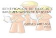 IDENTIFICACIÓN DE RIESGOS E IMPLEMENTACIÓN DE MEJORAS CARMEN ARTEAGA 2013