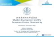 Cluster Development and the European Cluster Observatory