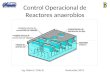 Control Operacional de Reactores anaerobios Ing. Pedro E. Ortiz B. Noviembre 2013