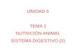 UNIDAD 6 TEMA 1 NUTRICIÓN ANIMAL SISTEMA DIGESTIVO (II)