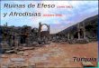 Ruinas de Efeso (Junio 2007) y Afrodisias (Octubre 2008) Turquía JCA 2008