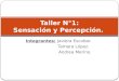 Integrantes: Javiera Escobar. Tamara López. Andrea Merino. Taller N°1: Sensación y Percepción
