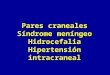Pares craneales Síndrome meníngeo Hidrocefalia Hipertensión intracraneal Pares craneales Síndrome meníngeo Hidrocefalia Hipertensión intracraneal