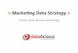 Digi-Tech Marketing Data Strategy