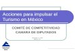 Acciones para impulsar el Turismo en México COMITÉ DE COMPETITIVIDAD CAMARA DE DIPUTADOS Diciembre 17, 2007 México, D.F