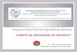 Programa Provincial de Seguridad de Paciente COMITÉ DE SEGURIDAD DE PACIENTE Lic. Esp. Genoveva Avila Ministerio de Salud de Córdoba