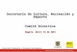 Secretaría de Cultura, Recreación y Deporte Comité Directivo Bogotá, Abril 13 de 2011 Dirección Planeación y Procesos Estratégicos