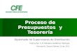 Proceso de Presupuestos y Tesorería Diplomado de Supervisores de Distribución Instructor: C.P. Adriana Gutiérrez Vázquez Hermosillo, Sonora Febrero 10