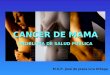 CANCER DE MAMA PROBLEMA DE SALUD PUBLICA M.S.P. José de Jesús Lira Ortega