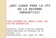¿HAY LUGAR PARA LA CFE EN LA REFORMA ENERGÉTICA? FORO REFORMA DEL MARCO LEGAL DEL SECTOR ENERGÉTICO Francisco Javier Carrillo Soberón. Comité Nacional