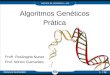 Algoritmos Genéticos na Prática