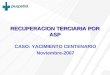 RECUPERACION TERCIARIA POR ASP CASO: YACIMIENTO CENTENARIO Noviembre-2007