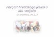 Povijest hrvatskoga jezika u XIX st
