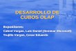 DESARROLLO DE CUBOS OLAP Expositores: Cabrel Vargas, Luis Daniel (Seminar Microsoft) Trujillo Vargas, Cesar Eduardo