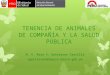 TENENCIA DE ANIMALES DE COMPAÑÍA Y LA SALUD PÚBLICA M. V. Rosa V. Gutiérrez Castilla rgutierrez@digesa.minsa.gob.pe