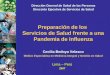 Preparación de los Servicios de Salud frente a una Pandemia de Influenza Lima – Perú 2007 Dirección General de Salud de las Personas Dirección Ejecutiva