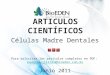 Articulos cientificos   celulas madre dentales nuevo