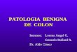 PATOLOGIA BENIGNA DE COLON Internos: Lorena Angel G. Gonzalo Bullard R. Dr. Aldo Cúneo