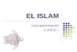 EL ISLAM Una aproximación C.A.R.E.I.. Islam en todo el mundo