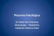 Placenta Patológica Dr. Pablo Parra Ramírez Ginecología – Obstetricia Medicina Materno Fetal