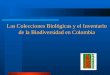 Las Colecciones Biológicas y el Inventario de la Biodiversidad en Colombia