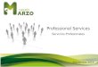 GRUPO MARZO PROFESSIONAL SERVICES