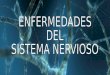 Si vamos a hablar de las enfermedades relacionadas con el sistema nervioso, antes tendremos que saber … QUÉ ES EL SISTEMA NERVIOSO El sistema nervioso