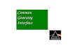 Common Common Gateway Gateway Interface Interface