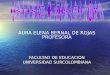 AURA ELENA BERNAL DE ROJAS PROFESORA FACULTAD DE EDUCACION UNIVERSIDAD SURCOLOMBIANA