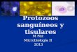 Protozoos sanguíneos y tisulares M Paz Microbiología II 2013