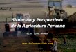 Situación y Perspectivas de la Agricultura Peruana FELIPE LLONA MALAGA 