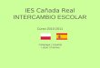 IES Cañada Real INTERCAMBIO ESCOLAR Curso 2010-2011 Galapagar ( España) Lubon ( Polonia)