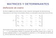 MATRICES Y DETERMINANTES Definición de matriz Se llama matriz de orden m×n a todo conjunto rectangular de elementos a ij dispuestos en m líneas horizontales