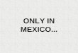 ONLY IN MEXICO.... Se me antojó una amburgeza con capsu!!!