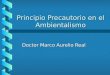 Principio Precautorio en el Ambientalismo Doctor Marco Aurelio Real