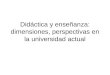 Didáctica y enseñanza: dimensiones, perspectivas en la universidad actual