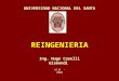 REINGENIERIA Ing. Hugo Caselli Gismondi UNIVERSIDAD NACIONAL DEL SANTA v2.0 - 2009