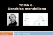 TEMA 6. Genética mendeliana 4º ESO - Biología Bonifacio San Millán IES Muriedas