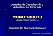 Jornadas de Capacitación y Actualización Tributaria Expositor: Dr. Marcelo D. Rodríguez MONOTRIBUTO Lo que está por venir……. Buenos Aires, Junio de 2009