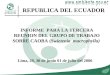 INFORME PARA LA TERCERA REUNION DEL GRUPO DE TRABAJO SOBRE CAOBA (Swietenia macrophylla) Lima, 29, 30 de junio 01 de julio del 2006 REPUBLICA DEL ECUADOR