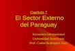 Capítulo 7 El Sector Externo del Paraguay Economía Internacional Universidad Americana Prof. Carlos Rodríguez Báez