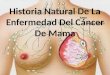 Historia Natural De La Enfermedad Del Cáncer De