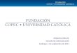 Información Confidencial. Propiedad Fundación Copec-Universidad Católica Alejandra Ulloa Q. Gerente de Administración Santiago, 1 de septiembre de 2011