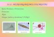 12.11.- MICROORGANISMOS EUCARIOTAS Reino Protistas o Protoctistas Protozoos Algas Hongos (mohos y levaduras): FUNGI