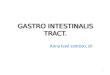 Gastro Intestinalis Tract, Dr Anna